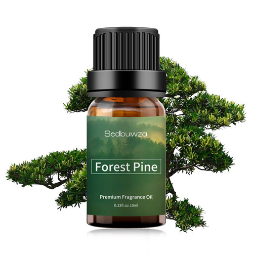 Forest Pine Fragrance Oil Forest Pine Essential Oil - Premium Grade Forest Pine Scented Oils for Diffusers, Candle Making, Soap Scents, Aroma Beads, Bath Bombs, Perfume - 10ML