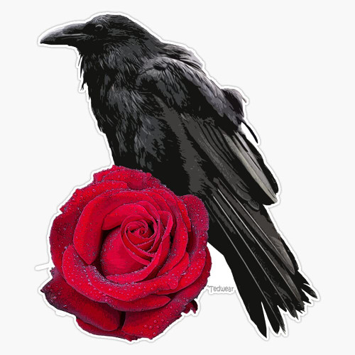 EB Store Crow Rose Vinyl Waterproof Sticker Decal Car Laptop Wall Window Bumper Sticker 5''