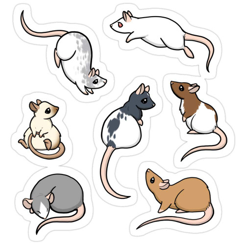 Jess-Sha Store 3 PCs Stickers Rats Sticker for Laptop, Phone, Cars, Vinyl Funny Stickers Decal for Laptops, Guitar, Fridge