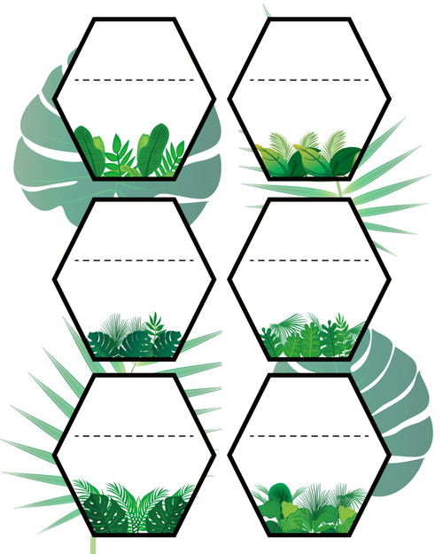 Hexagons Cutouts Classroom Bulletin Board Decor Decals 5 Inch Happy Birthday Bulletin Board Stickers Set Green Plants and Wood Grain Bulletin Board Stickers for Home Classroom Bulletin Boards 24 Pcs