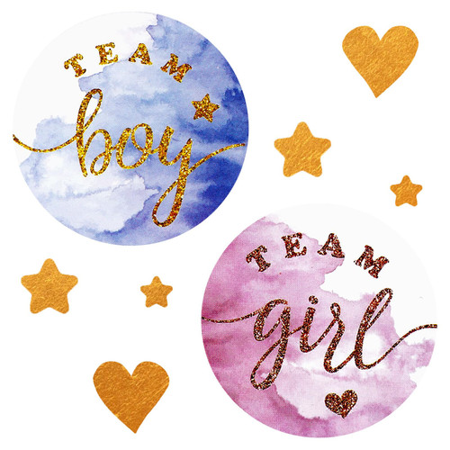 Gender Reveal Stickers, 120 Pieces Team Girl Team Boy Stickers Gender Reveal Decorations 2 Inch Round Baby Shower Labels Sticker, Pink and Blue Stickers for Reveal Parties and Baby Showers