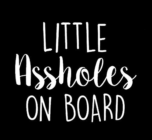 Little Assholes On Board Funny NOK Decal Vinyl Sticker |Cars Trucks Vans Walls Laptop|White |5.5 x 4.5 in|NOK1399