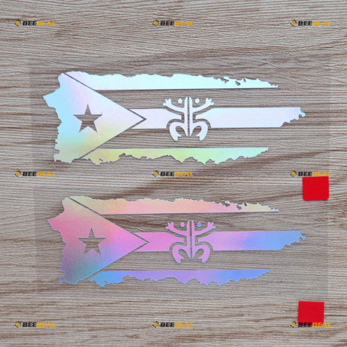 2 Pack Holographic Iridescent, 4 Inches - Puerto Rico Map Coqui Frog Flag Decal Sticker Vinyl Puerto Rican - No Background Die-Cut 05081 for Car Boat Laptop