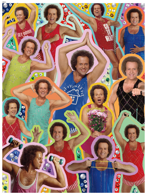 Ceaco - Richard Simmons - Bedazzled Collage - 550 Piece Jigsaw Puzzle