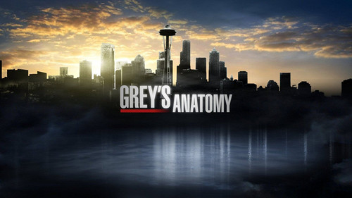NewBrightBase Greys Anatomy TV Show Fabric Cloth Rolled Wall Poster Print - Size: (43" x 24" / 24" x 13")