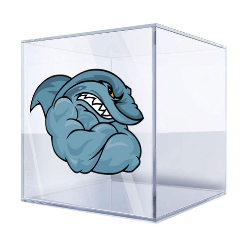 Stickers Sticker Body Builder Shark 5 X 3,5