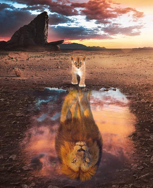 Kaliosy 5D Diamond Painting Animal by Number Kits, Paint with Diamonds Art Lion Reflection DIY Full Drill, Crystal Craft Cross Stitch Embroidery Decoration 30x40cm?12x16inch?