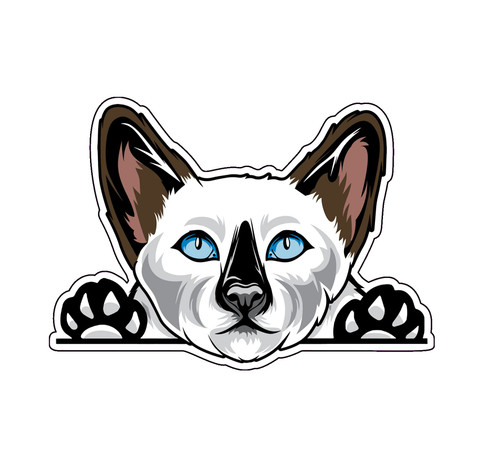 WickedGoodz Siamese Cat Vinyl Decal - Kitty Bumper Sticker - for Laptops Tumblers Windows Cars Trucks Walls WickedGoodz Siamese Cat Vinyl Decal - Kitty Bumper Sticker - for Laptops Tumblers Windows Cars Trucks Walls