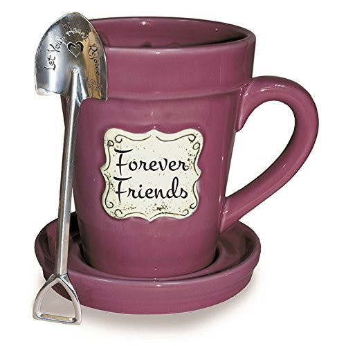 Divinity Boutique 24655 Flower Pot Raspberry Friends, Multicolor