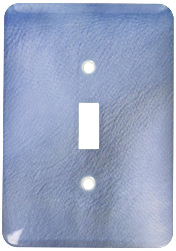 3dRose lsp_29661_1 Blue Leather Like Single Toggle Switch