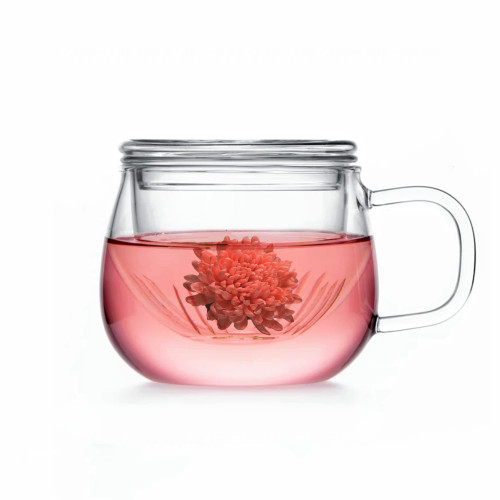 HOVOL Tea Mug with Infuser and Lid - 13.5oz Heat Resistant Borosilicate Glass, Clear Teacup with Strainer for Loose Leaf / Blooming Tea, and Tea Bags - Ideal for Tea Lovers HOVOL Tea Mug with Infuser and Lid - 13.5oz Heat Resistant Borosilicate Glass, Clear Teacup with Strainer for Loose Leaf / Blooming Tea, and Tea Bags - Ideal for Tea Lovers