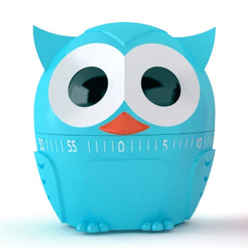 Kikkerland Owlet Kitchen Timer, 60 Minutes, Assorted colors, 1 Piece