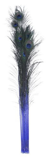 Zucker Feather (TM) - Peacock Feather Eyes Stem Dyed - Royal Zucker Feather (TM) - Peacock Feather Eyes Stem Dyed - Royal