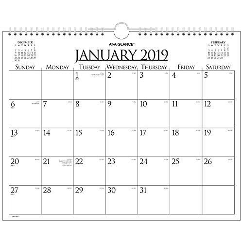 AT-A-GLANCE 2019 Monthly Wall Calendar, 15" x 12", Medium, Wirebound (997-1)