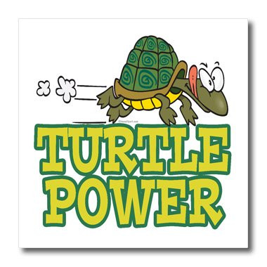 3dRose ht_104435_1 Turtle Power Cute Turtle Cartoon-Iron on Heat Transfer for Material, 8 by 8-Inch, White