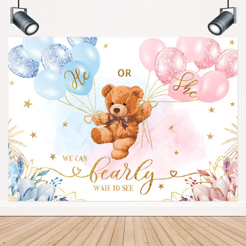 LIGHTINHOME Bear Gender Reveal Backdrop 5Wx3H Feet for He or She Pink or Blue Floral We Can Bearly Wait Baby Shower Gold Star Balloons Photography Background Decorations Photo Booth Studio Prop Fabric LIGHTINHOME Bear Gender Reveal Backdrop 5Wx3H Feet for He or She Pink or Blue Floral We Can Bearly Wait Baby Shower Gold Star Balloons Photography Background Decorations Photo Booth Studio Prop Fabric