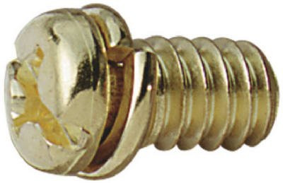 Westinghouse 7704800 Antique Brass Motor Screw Kit 10 Count