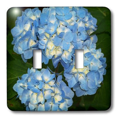 3dRose LLC lsp_21629_2 Blue and Yellow Hydrangea Clusters Double Toggle Switch