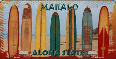 Aloha State Hawaii Blank State Novelty Metal License Plate Tag LP-7830