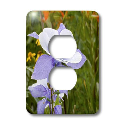 3dRose lsp_36356_6 Blue Columbine (Colorado State Flower) 2 Plug Outlet Cover