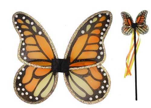 Monarch Wings & Wand Set