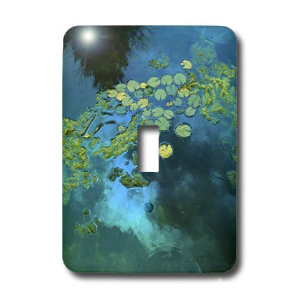 3dRose LSP_7298_1"Koi Blue Single Toggle Switch, Multicolor