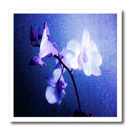 3dRose ht_9354_1 Blue Floral Haze-Iron on Heat Transfer for White Material, 8 by 8-Inch 3dRose ht_9354_1 Blue Floral Haze-Iron on Heat Transfer for White Material, 8 by 8-Inch