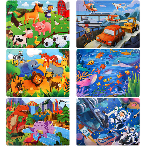 Okllen 6 Pack Wooden Puzzles for Kids, 60 Pieces Wooden Jigsaw Puzzles for Kids Ages 4-8, Preschool Puzzles Learning Educational Toys for Boys and Girls, 6 Designs