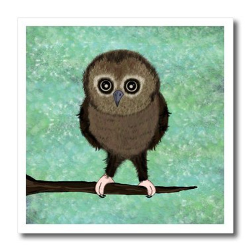 3dRose ht_57120_2 Baby Owls First Adventure Green Blue Iron on Heat Transfer for White Material, 6 by 6-Inch