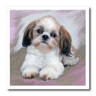 3dRose ht_4807_2 Shih Tzu Puppy-Iron on Heat Transfer for White Material, 6 by 6-Inch
