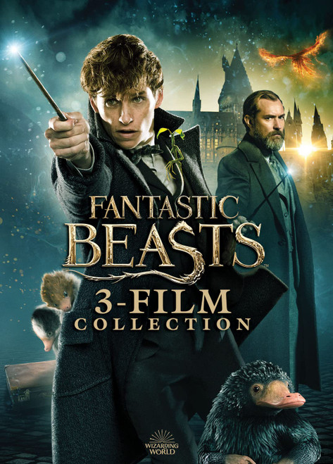Fantastic Beasts 3-Film Collection (DVD) Fantastic Beasts 3-Film Collection (DVD)
