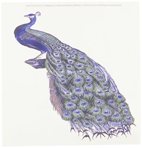 3dRose LLC Blue Green and Coral Peacock 8 by 8-Inch Iron on Heat Transfer for White Material