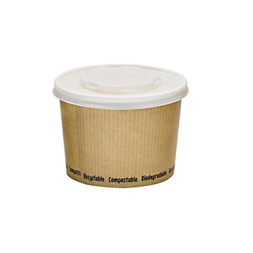 PacknWood PK210PLAS16 Kraft Design Soup Cup, 16 oz. (Pack of 25)
