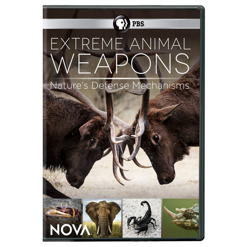 NOVA: Extreme Animal Weapons NOVA: Extreme Animal Weapons