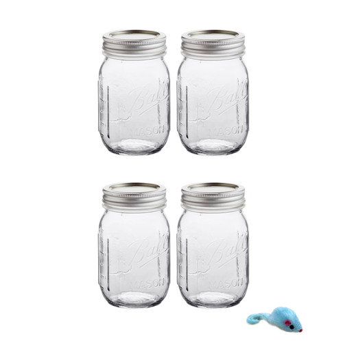 CEO_ARNOLD Mason Jars Regular Mouth Pint 16-Ounces with Lids and Bands, (Set of 4). with 1 cat toy mouse.