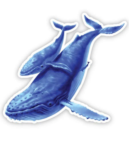 GT Graphics Express Humpback Whales - 12" Vinyl Sticker Waterproof Decal