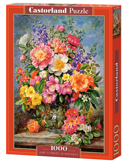 CASTORLAND 1000 Piece Jigsaw Puzzle, June Flowers in Radiance, Flower and Plants Puzzle, Painting Puzzle, Adult Puzzle, Castorland C-103904-2 CASTORLAND 1000 Piece Jigsaw Puzzle, June Flowers in Radiance, Flower and Plants Puzzle, Painting Puzzle, Adult Puzzle, Castorland C-103904-2