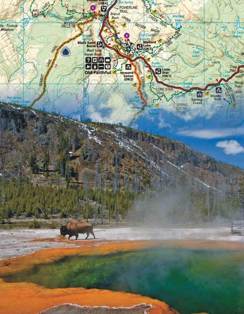New York Puzzle Company - National Geographic Yellowstone Mini - 100 Piece Jigsaw Puzzle