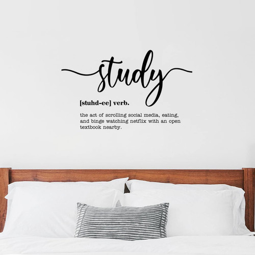 Funny Noun Definition of Study Peel and Stick Wall Decals Inspirational Quote Wall Stickers Vinyl Positive Wall Decal Inspirational Novelty Home Decor Merry Christmas Decoration 22 Inch