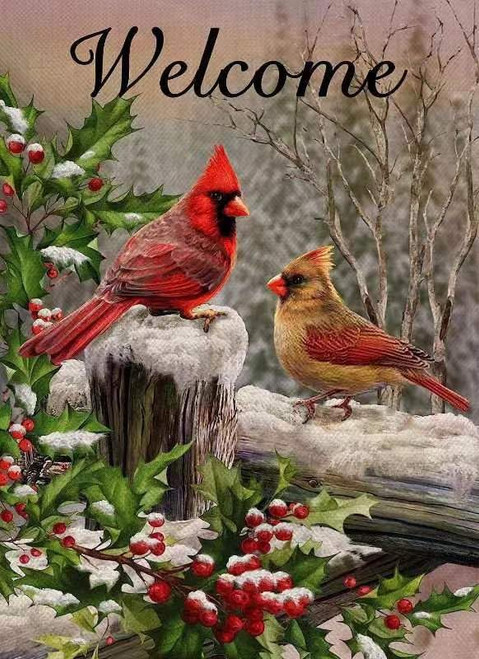 Christmas Diamond Painting Kits for Adults Diamond Art Kits for Kids Beginner DIY 5D Full Drill Crystal Rhinestone Arts and Crafts Gem Art Painting with Diamonds Dots Home Wall Decor 11.8x15.7inch Christmas Diamond Painting Kits for Adults Diamond Art Kits for Kids Beginner DIY 5D Full Drill Crystal Rhinestone Arts and Crafts Gem Art Painting with Diamonds Dots Home Wall Decor 11.8x15.7inch