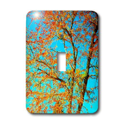 3dRose LLC lsp_79800_1 A Very Blue Sky with A Fall Colored Tree In Front Of It Single Toggle Switch