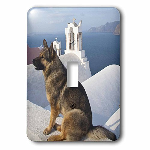 3dRose LLC lsp_81834_1 Greece, Santorini, Oia, Dog, Blue Domed Churchesm Eu12 Dgu0356m Darrell Gulin Single Toggle Switch