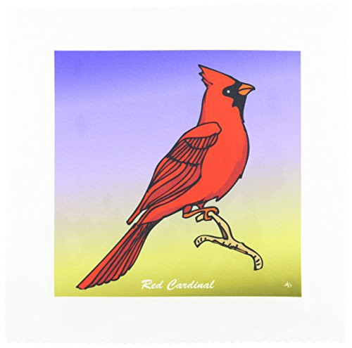 3dRose LLC Birds Red Cardinal 3 on Gradient 10 by 10-Inch Quilt, Square