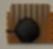 Electronics123.com, Inc. Siren Sound Generator COB