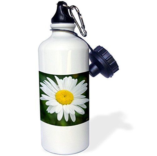 3dRose wb_10434_1 Daisy Sports Water Bottle, 21 oz, White 3dRose wb_10434_1 Daisy Sports Water Bottle, 21 oz, White