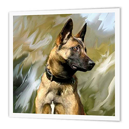 3dRose ht_4385_1 Belgian Malinois-Iron on Heat Transfer Paper for White Material, 8 by 8-Inch 3dRose ht_4385_1 Belgian Malinois-Iron on Heat Transfer Paper for White Material, 8 by 8-Inch