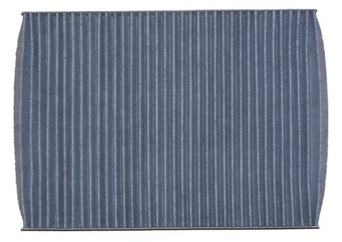 FilterMaster Activated Carbon Cabin Filter FVW-01001C for VW Beetle (1998~2010), Jetta (1993-2005), Golf (1993-2005), Cabrio (2000-2002), Passat (2002-2005)