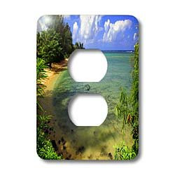 3dRose LSP_66301_6 Nature, Ocean Scene, Green, Blue Plug Outlet Cover, Multicolor