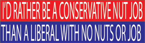 10x3 Patriotic Bumper Sticker Auto Decal Conservative Republican USA Flag American Patriot (Nut Job)