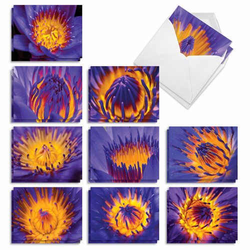 The Best Card Company - 20 Assorted Blank Plant Cards Boxed (4 x 5.12 Inch) (10 Designs, 2 Each) - Flaming Florals AM9514OCB-B2x10